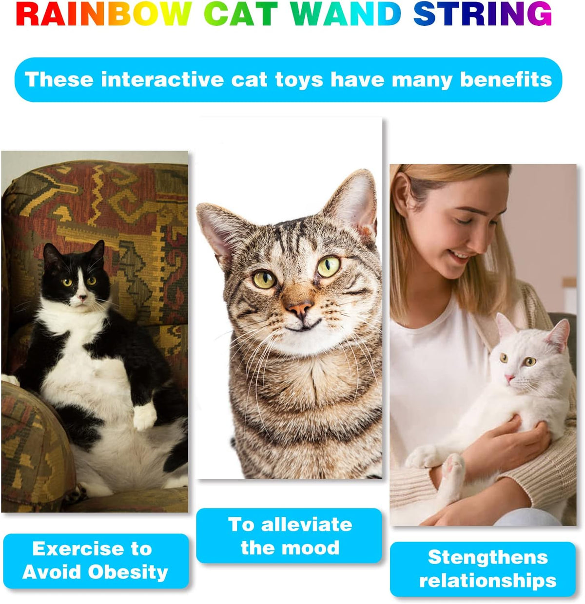Cat Wand Toys Interactive Kitten Toys for Indoor Cats Colorful Teaser Wand String for Exercise Kitten Stick Kitty Rope Toy Rainbow Ribbon Cat Charmer