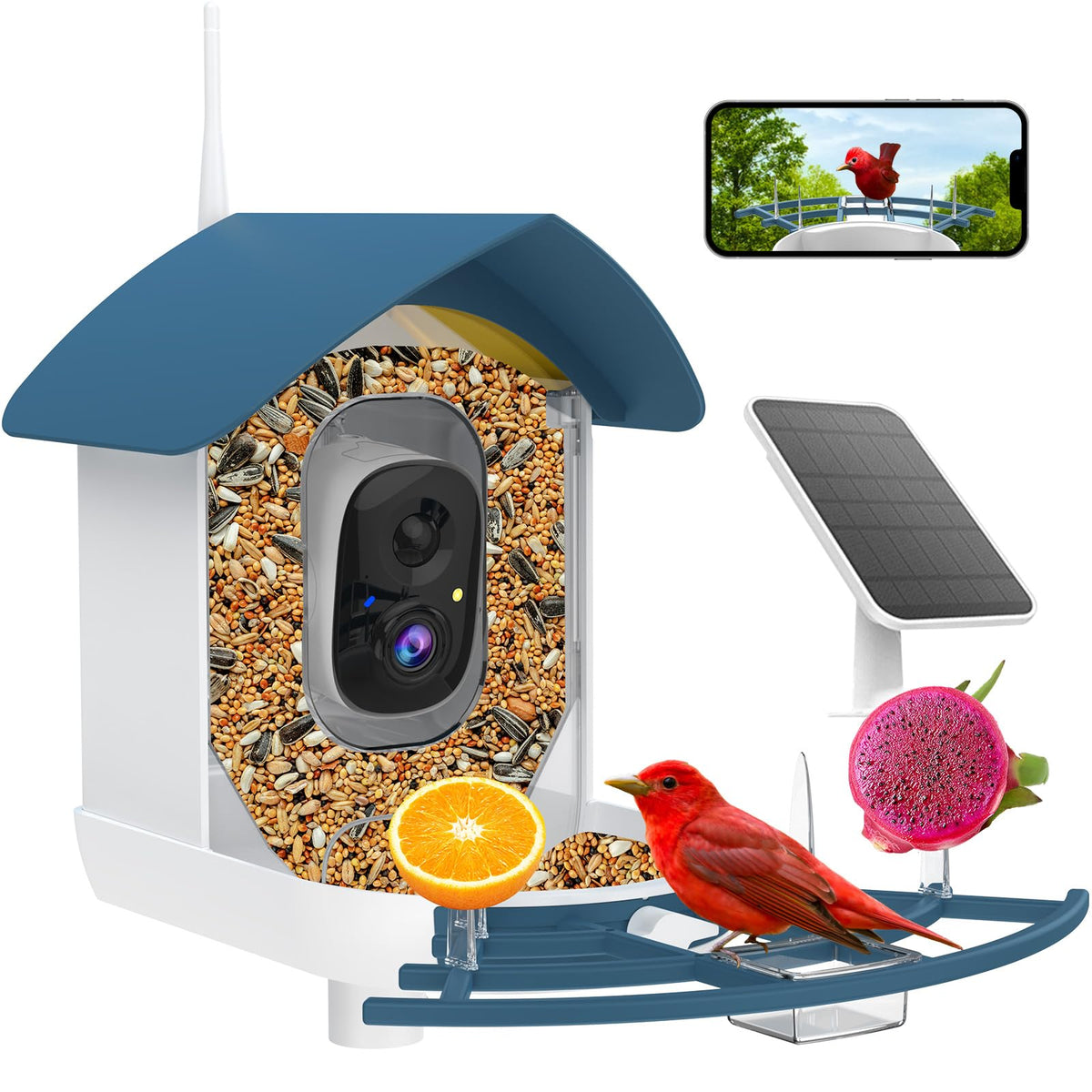 Bird Feeder with Camera,AI Identify Birds Species,Smart Bird Camera with Solar Powered,Auto Record FHD Birds Video in Backyard,Instant