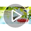 eWonLife 2 Pack Hummingbird Feeders for Outdoors, 16oz Leak-Proof Saucer Humming Bird Feeder with Integrated Ant Moat, Bee Proof 5 Feeding Ports