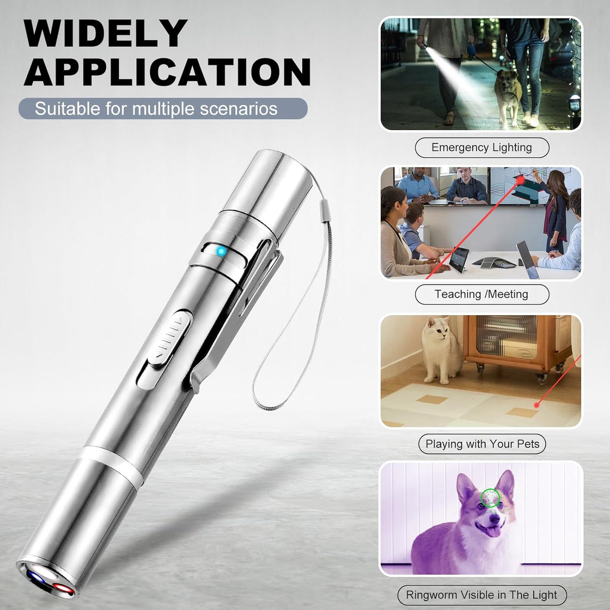 Laser Pointer, Bird Toys for Indoor Birds, Bird Laser Toy, Red Dot LED Light Pointer Interactive Toys for Indoor Birds, USB Charging, 5 Switchable