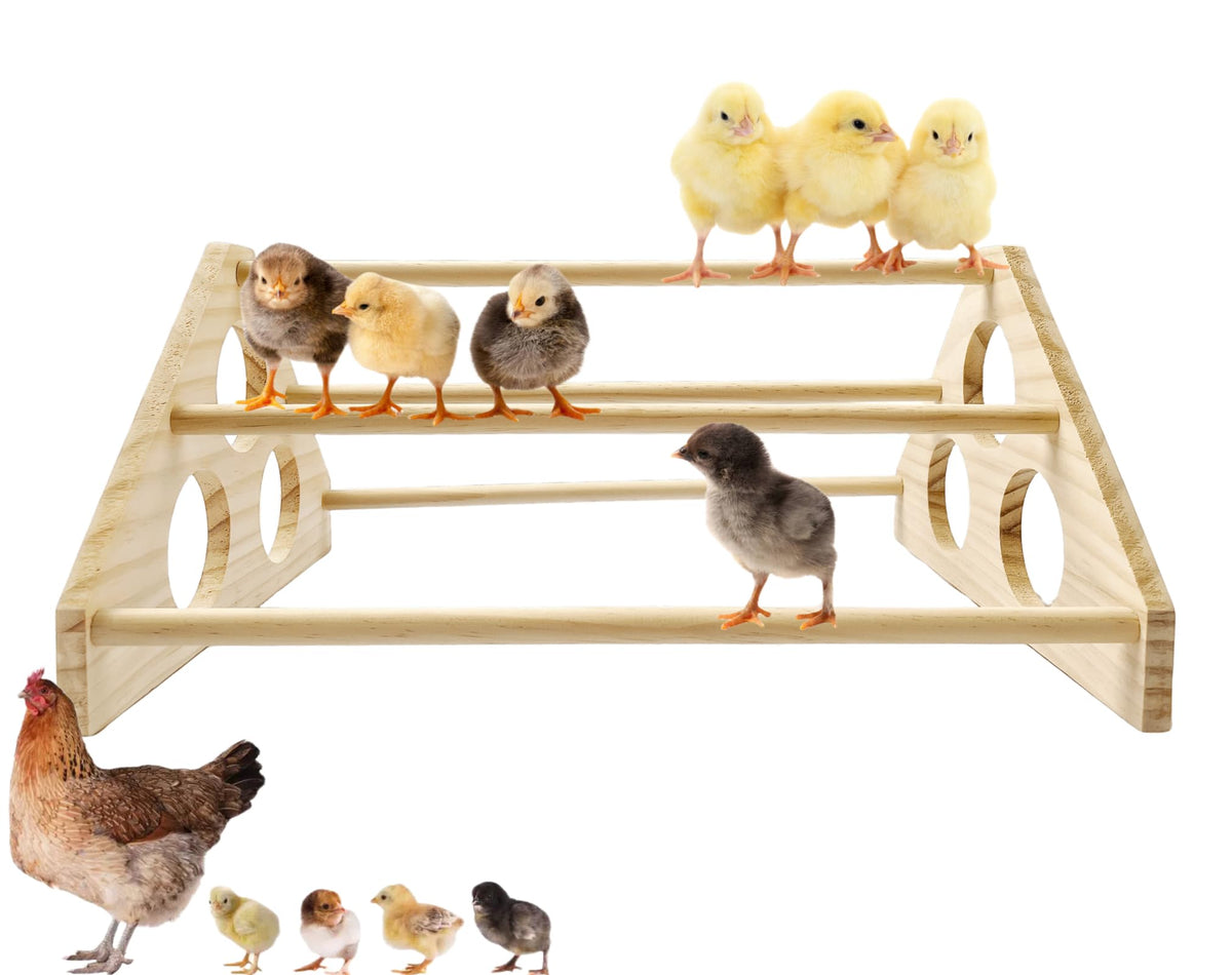 Large Wooden Pine Chick Perch Roosting Bar for Baby Chicks Brooder Coop, Chicken Training Toy Stand