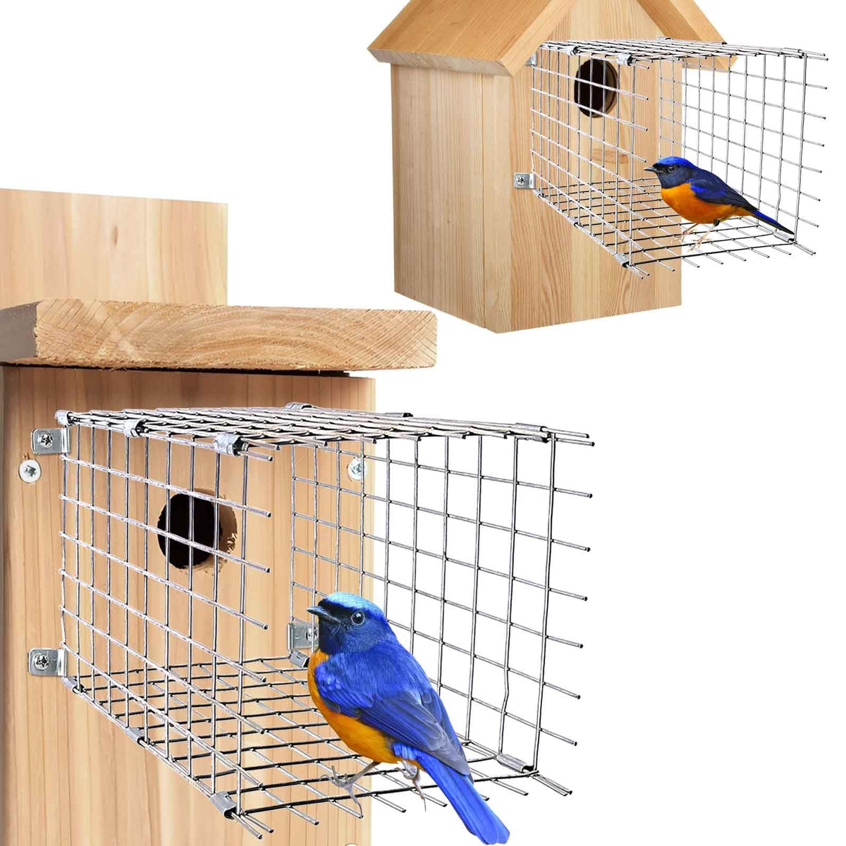 Bluebird House Predator Guards 2 Pcs, Strong Metal Wire Birdhouse Entrance Protector Guard Bird House Protector Guards for Eastern Bluebird Box
