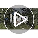 NETVUE by Birdfy Smart Bird Feeder with 2K HD AI Camera Solar Powered, Wireless Wildbird Watching, Live Stream&Color Night Vision, Auto-Capture