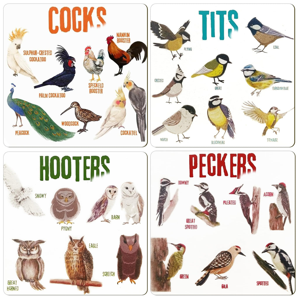 Bird Pun Coasters, Square Funny Coaster Set Coffee Coasters for Bird Lovers Kitchen Decor Housewarming Gifts (4 Pcs)