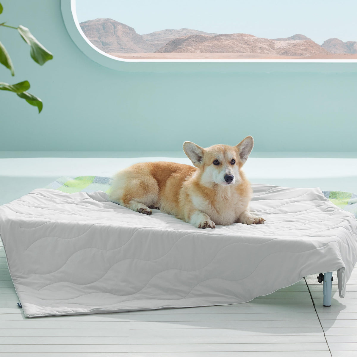 Bedsure Premium Cooling Blanket for Large Dog - Q-MAX>0.5, Breathable Summer Washable Cold Pet Mat, Soft Durable Self Cooling Dog Mat for Hot