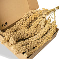 Jmxu's Spray Millet Treat for Birds Parakeets, Natural Sun-Dried Birds Millet for Cockatiel, Budgie, Finches, Parrots, Hamster