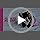 Tiki Cat Born Carnivore Baby, Chicken & Egg, 2.8 lbs Bag