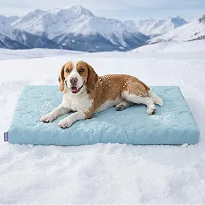 LE SURE ApexCloud™ Cooling Dog Bed for Large Dogs with Washable Cover,35IN | Q-Max>0.5 Cool-Touch Fabric, Orthopedic Egg Crate Foam,Breathable