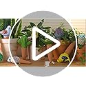 4 Pack Self Watering Bird Shaped Globes, Terracotta Vacation Planters Devices with Slow Release Automatic Watering Spikes, Plant Watering Pots for