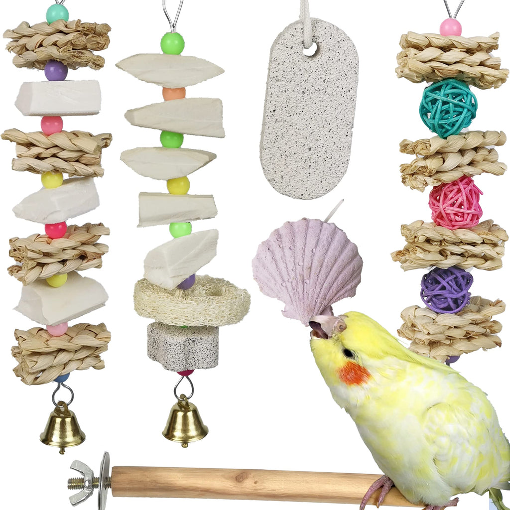 Parrot Chewing Toys (6 pcs) Natural Cuttlebone Bird Beak Trimmer Grinding Stone Lava Block Calcium Stone Bird Perch Cage Toys for Small and Medium