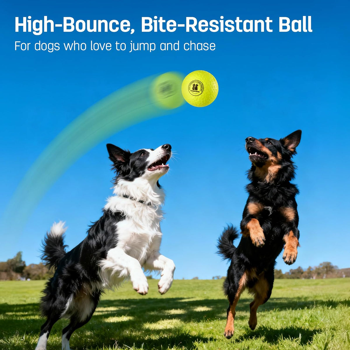 Potaroma Dog Toy Balls – 3 Pack E-TPU Bouncy Pet Fetch Balls Floating Water Pool Toy for Chewers Small & Large Dogs, Indoor & Outdoor 2.8 Inch
