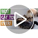 Cat Amazing Interactive Treat Maze and Puzzle CAT Toy