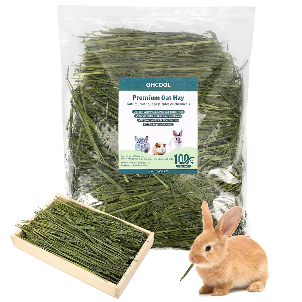Premium Oat Hay for Pets - Dust Free Natural Green Fresh Pet Food Hay for Rabbits, Guinea Pigs, Chinchillas, Hamsters & Gerbils - 1.1lbs