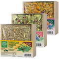 Small Pet Select Forage Tray Bundle, 3 Pack of Foraging Trays for Rabbit, Guinea Pig, Hamster or Bunny - Natural Treats, Dandelion, Flower, Herb Mix