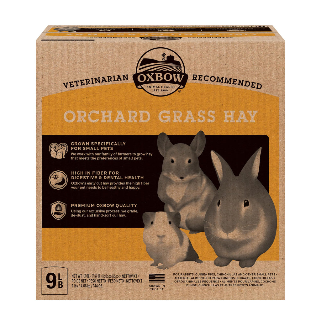 Oxbow Animal Health Orchard Grass, Guinea Pig Hay, Rabbit Hay, Small Pet Bunny Supplies, All Natural Grass for Guinea Pig, Bunny, Chinchilla
