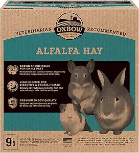 Oxbow Alfalfa, Guinea Pig Hay, Rabbit Hay, Small Pet Bunny Supplies, All Natural Grass for Guinea Pig, Bunny, Chinchilla & Hamster, Oxbow Rabbit