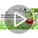 FEED GARDEN Hummingbird Feeders for Outdoors, 2 Pack 16oz Leak-Proof Dish-Style Nectar Feeder Built-in Ant Moat, 5 Feeding Ports, Wide Mouth Easy