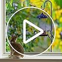 COCONUT 78" Heavy Duty Shepherds Hooks for Outdoor, Bird Feeder Pole with 5 Prong Base, Adjustable Height Shepherds Hook for Hummingbird Feeder, Bird